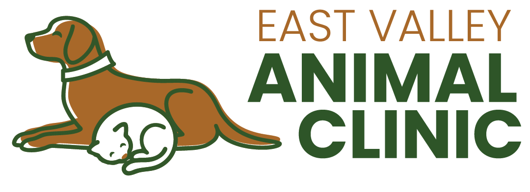 East Valley Animal Clinic