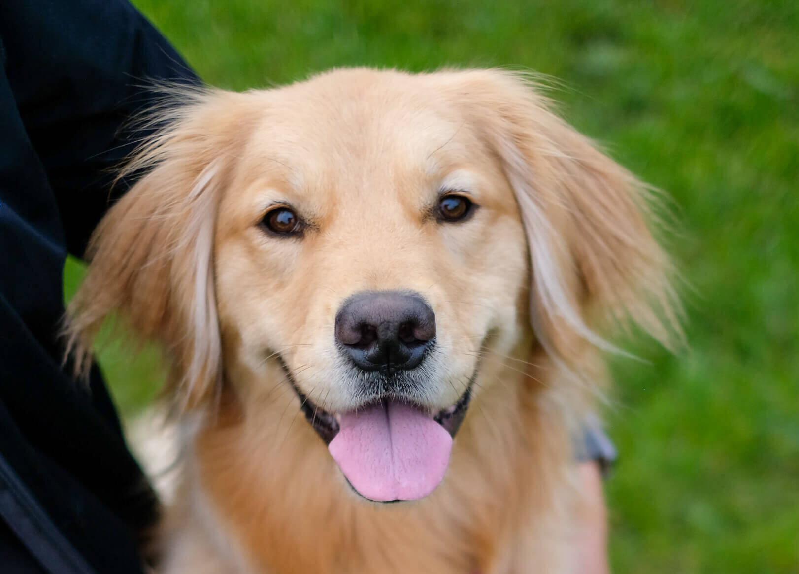 Zelda-e1714270284102