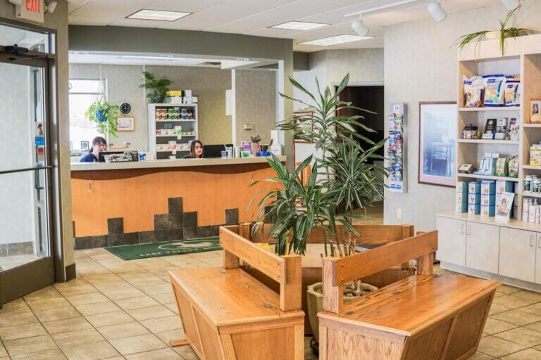 imgi_29_DSC02500-scaled